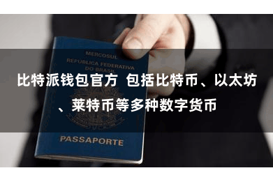 比特派钱包官方 包括比特币、以太坊、莱特币等多种数字货币