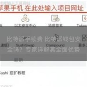 比特派手续费 比特派钱包安全吗？专家详解其全面优势