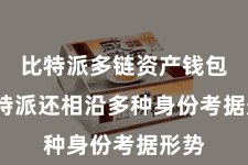 比特派多链资产钱包  比特派还相沿多种身份考据形势